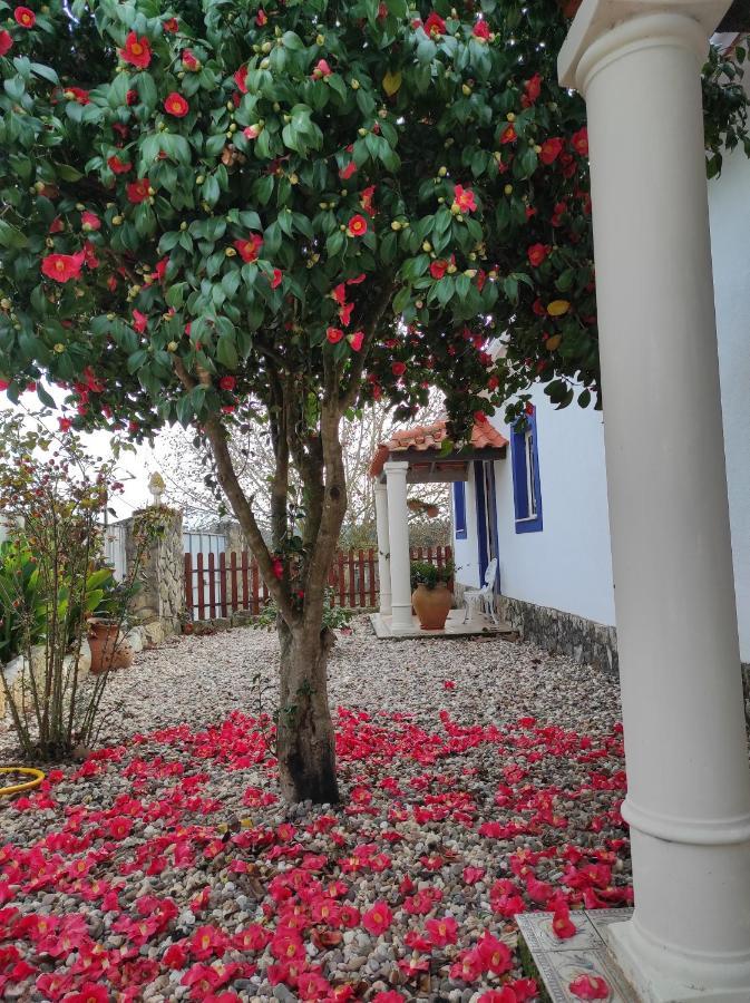 Fazenda Do Marante Hostel Томар Екстериор снимка